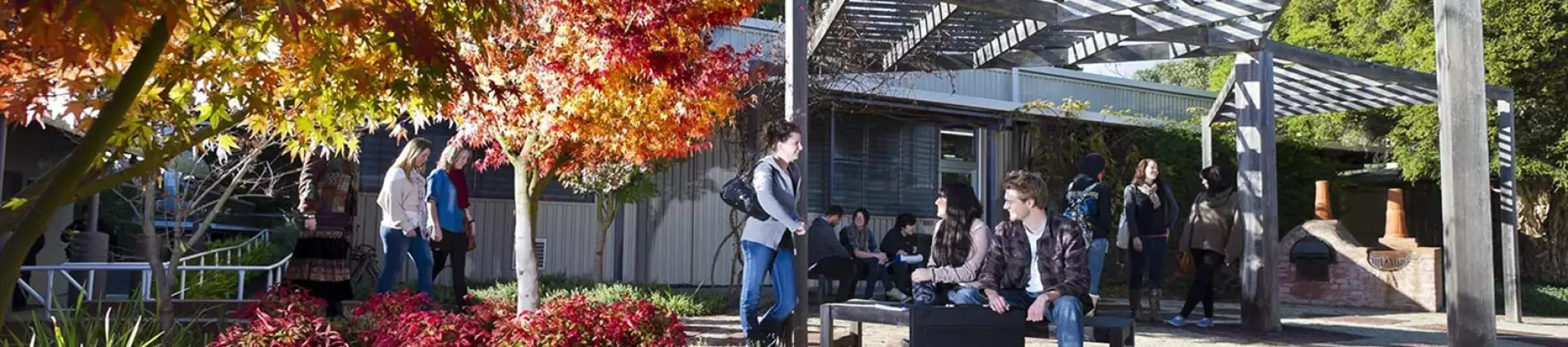 Advanced Diploma of Commerce